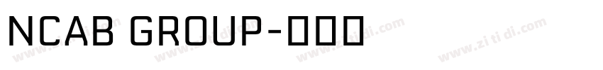 NCAB GROUP字体转换